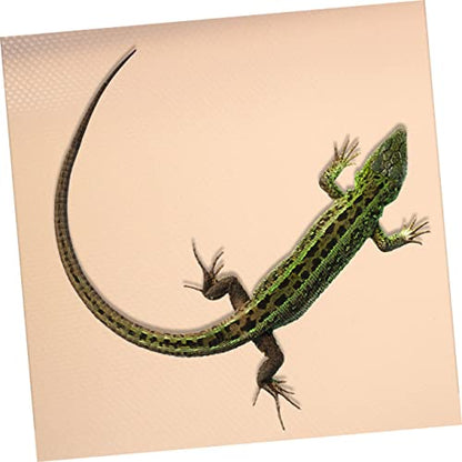 POPETPOP Eva Reptile Carpet for Tortoise and Lizards Non- Eva Substrate Mat Terrarium Liner for Bearded Dragon and Leopard Tanks Lotus - color: Beige