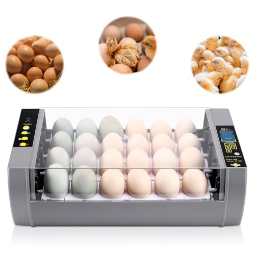 Gpeng Egg Incubator, 24 Eggs Incubator with Digital Display, Auto Egg-Turning, Auto Temperature Control, for Hatching Chicken Goose Pigeon Quail Duck - size: 24-Eggs