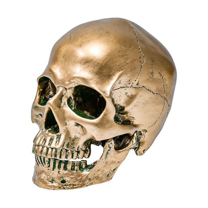 ECYC 1:1 Resin Human Skull Model Halloween Props Home Decorations High Fidelity Skull Head Sculpture Life Size, Bronze