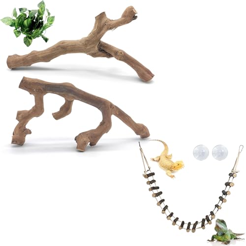 VCEPJH Snake Climbing Branch, 2Pcs Reptile Wood Natural Cork Log and Reptile Climbing Bridge 39 in Long Bearded Dragon Wooden Ladder for Lizard Ball Pythons Tree Frog Snake Leopard Gecko