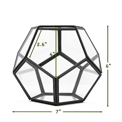 Cute Farms Glass Terrarium Kit | Just Add Your Own Plants (Geometric Glass) - style: Geometric Glass