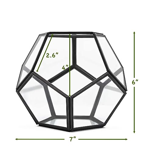 Cute Farms Glass Terrarium Kit | Just Add Your Own Plants (Geometric Glass) - style: Geometric Glass