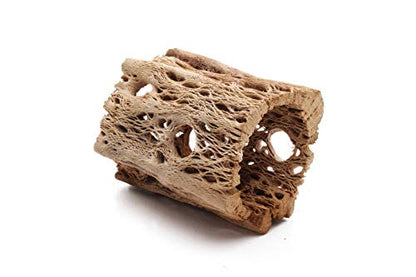 3, 6, 9, 12 Inch All Natural Teddy Bear Cholla Wood Extra Hollow Untreated Organic Aquarium Driftwood Decoration Chew Toy Shrimp Crab Cichlid Nano Tank Birds 1 or 5 Pieces (1 Piece, 3 inch) - size: 1 Piece, 3 inch