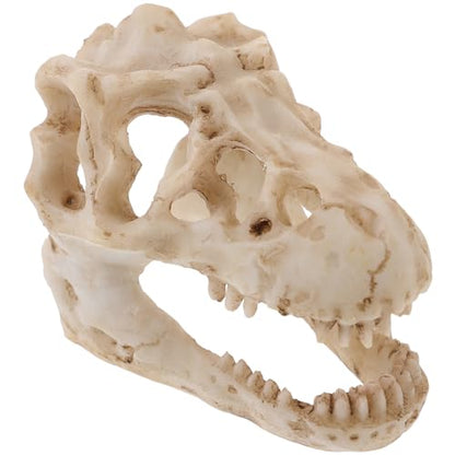 Resin Dinosaur Skull Model Realistic for Office Display Small Decoration for Terrariums Halloween Decor and Anatomy Teaching Tool