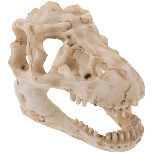 Resin Dinosaur Skull Model Realistic for Office Display Small Decoration for Terrariums Halloween Decor and Anatomy Teaching Tool