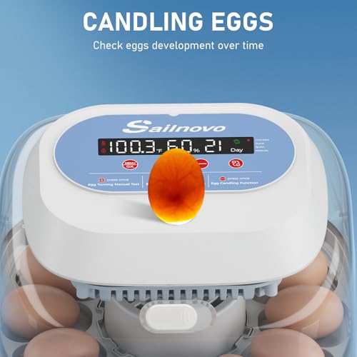 Sailnovo 12 Egg Incubator with Automatic Egg Turning and Humidity Display, Built-in Candler & 360° View Window, Manual & Preset Modes for Hatching Chicken Duck Quail Eggs Home Classroom Lab