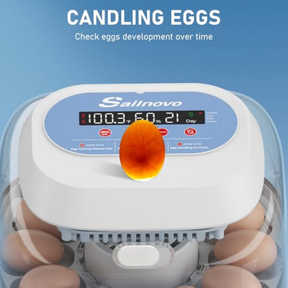 Sailnovo 12 Egg Incubator with Automatic Egg Turning and Humidity Display, Built-in Candler & 360° View Window, Manual & Preset Modes for Hatching Chicken Duck Quail Eggs Home Classroom Lab