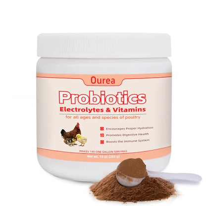 Chicken Electrolyte, Vitamin & Probiotic Supplement - Support Hydration Digestion Immunity Egg Production – Poultry Supplement for Chickens, Ducks, and All Ages of Birds – All-Season Use,10oz Powder