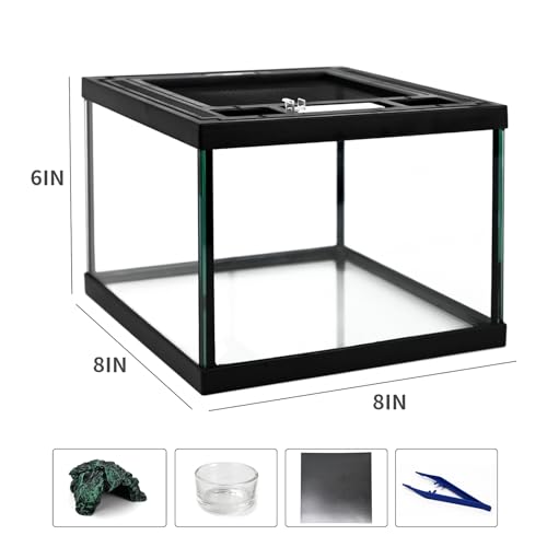 Mini Reptile Glass Tank 8 * 8 * 6inch Terrarium for Start with Top Ventilation for Turtle,Spider,Hermit Crab,Geock,Frog AMD Beard Dragon
