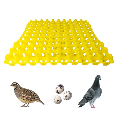 Hen's Choice 90 Egg Plastic Trays for Quail, Pigeon, Dove, Birds. Incubator Flat Carton (Yellow, 6 Pack) - color: Yellow, size: 6 Pack
