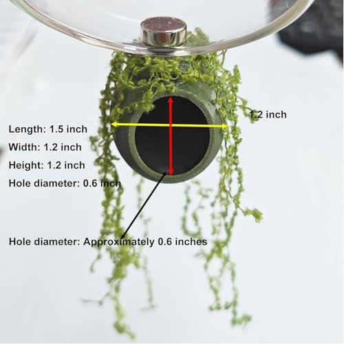4Pcs Jumping Spider Enclosure Accessories Cocoon-Shaped Jumping Spider Hideaway with Artificial Moss and 1 Pcs Resting Platform Magnetic Small Animal Shelter Toy (Army Green) - color: Army Green