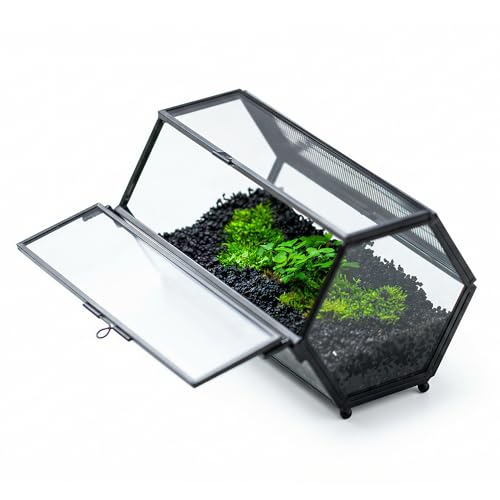 NCYP Small Glass Terrarium Enclosure with Mesh & Door for Tiny Beetle, Jumping Spiders, Hexagon Vented Glass Terrarium 6.8'' x 4.1'' x 3.6'', Indoor Decor, Black (Plants Not Include) - size: 6.8'' x 4.1'' x 3.6''