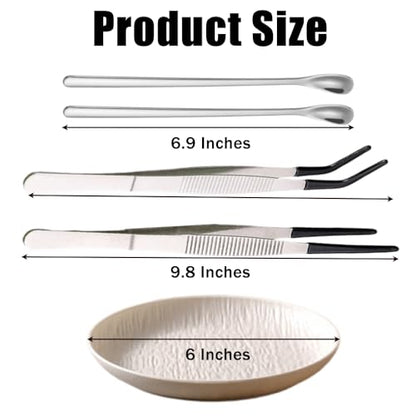 Ouliget Reptile Feeding Tool Set,Rubber Tip Straight Curved Feeding Tongs Tweezers Feeding Spoon,Small Reptile Food Plastic Dish Bowl for Geckos Lizards Bearded Dragons