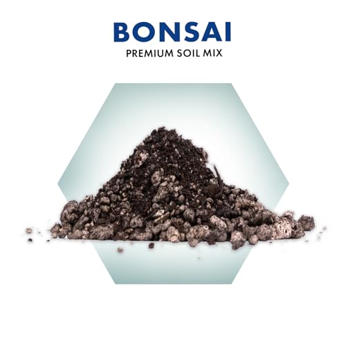 Premium Bonsai Soil Mix for Thriving Indoor Bonsai Trees - Perfect Potting Soil for All Bonsai Varieties - Organic Blend for Optimal Growth - Indoor Plant Soil - 4 Quarts - style: Bonsai Plant Soil Mix