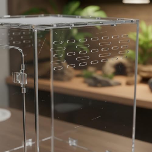 Qianly Acrylic Reptile Enclosure Vertical Arboreal Terrarium Well Ventilated Front Opening Habitat for Amphibian Enthusiasts