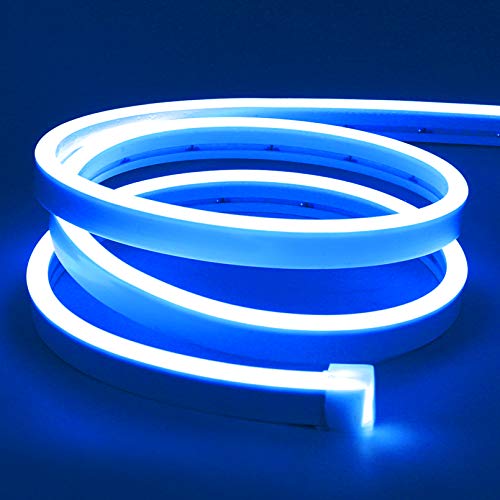 Lamomo LED Neon Lights, 16.4ft Blue LED Strip Light, 12V 0.39in/Cut Silicone Waterproof Neon Rope Light, DIY Neon Sign for Bedroom Indoor Outdoor Decoration（Power Adapter not Included） - color: Blue, size: 16.4 Ft