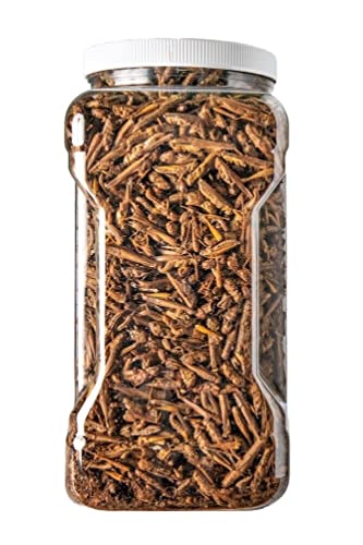 Grasshoppers - Freeze Dried Grasshoppers for Tropical Fish, Reptiles, Turtles, Tortoises Frogs, Hamsters, Birds, Rodents…14oz Lg Jar - size: 14 Ounce (Pack of 1)