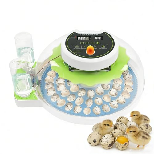 Quail Egg Incubator for Hatching 60 Quail Eggs with Automatic Egg Turning and Humidity Control, Small Quails Brooder Poultry Incubators or Partridge Parrot Pigeon and Other Bird in Home Farm - size: 66 Units
