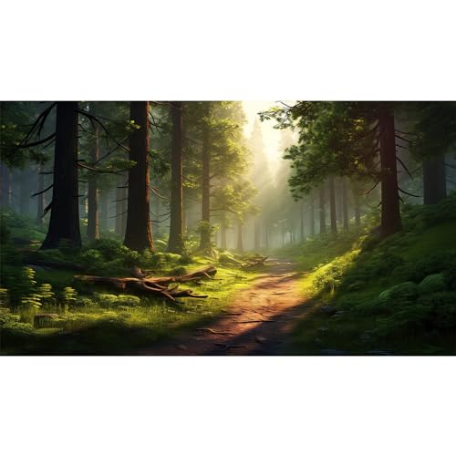 Aquarium Background Winding Dirt Road Verdant Forest Sunlight DancesThrough Towering Trees Terrarium Backdrop Nature Landscape Fish Tank Background Reptile Habitat Backdrop Vinyl 48x24in - color: Sunset Green, size: 48(W)x24(H)inches/ 120(W)*60cm(H)