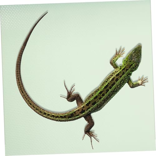 Reptile Carpet Substrate Mat for Terrarium EVA Flooring for Leopard Gecko Lizard Snake Tortoise Tank Liner Washable Reptile Habitat Accessory