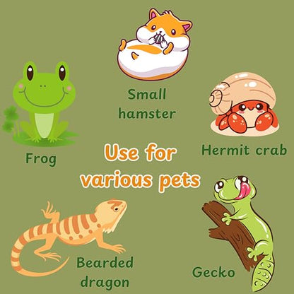 Frog Hide Out and Water Dish Bowl Set, Frog Terrarium Kit with Suction Cup and Food Dish, Tree Frogs Terrarium Accessories, Aquarium Decor, Reptile Tank Supplies for Bullfrog (Green, S)