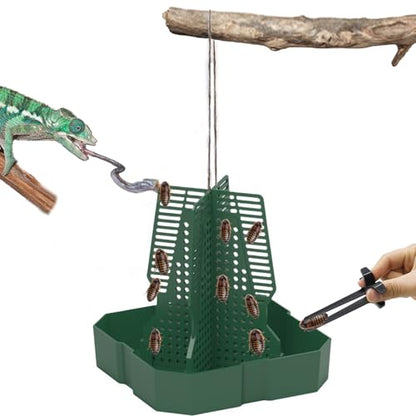 Chameleon Feeder Bearded Dragon Feeder for Mounted Insect with Rope and Tweezers, Tank and Aquarium Accessories for Lizard, Bearded Dragon, Gecko, Frog（Medium） - size: Medium