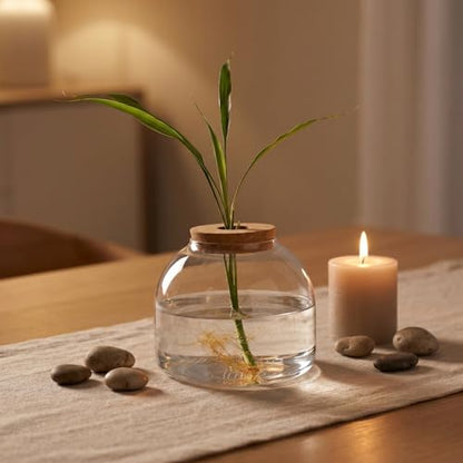 ULTECHNOVO 5.9" Glass Terrarium Jar with Wood Stopper – Airtight Mini Ecosystem Jars with Cork Lids for Hydroponic Plants & Moss, Micro Landscape Decor for Bedroom, Office, Gift for DIY Gardeners