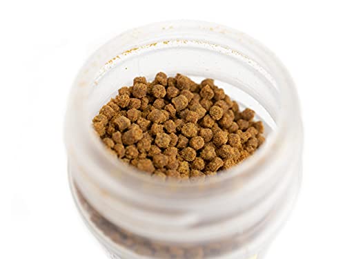 Josh's Frogs Aquatic African Dwarf Frog Food Pellets (1.85 oz) - size: 1.85 Ounce (Pack of 1)