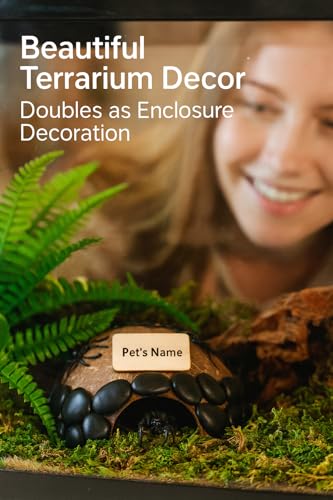 Reptile Hideouts, Handmade Handmade Reptile Home, Hide Cave for Crested Gecko, Leopard Gecko, Lizard, Snake, Crabs Hide Cave, Personalized Terrarium & Vivarium Décor（Spider） - style: Spider