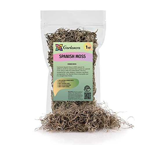 Gardenera Premium Natural Spanish Moss Natural Preserved - Great Ground Cover - Filler for Potted Plants - 1 Quart Bag, GRD-SPANISH-MOSS-1QT - color: SPANISH MOSS, size: 1 Quart