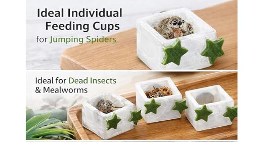 3 Pcs Magnetic Jumping Spider Feeding Dish Jumping Spider Enclosure Accessories Star-Shaped Design Reptile Water Bowl for Other Small Reptiles or Insects (Transparent + Army Green) - color: Transparent + Army Green