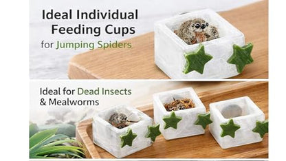 3 Pcs Magnetic Jumping Spider Feeding Dish Jumping Spider Enclosure Accessories Star-Shaped Design Reptile Water Bowl for Other Small Reptiles or Insects (Transparent + Army Green) - color: Transparent + Army Green