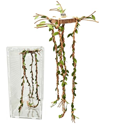 Jumping Spider Decor | Reptile Cage Toys Vines - Jumping Spider Enclosure Decor,for Snakes Ball Pythons Chameleons Mantis Gecko Tortoise Frog Bearded Dragon