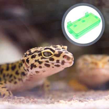 Uonlytech 2pcs Escape-Proof Reptile Feeders with Suction Cups, Small Green Lizard Feeding Bowls for Bearded Dragon, Gecko, and Other Reptiles, Reusable Pet Water and Food Dish for Terrarium