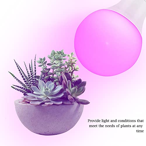 Grow Light Bulbs for Indoor Plants - Full Spectrum E26 A19 LED Lamp Bulb 12W - Balanced Spectrum 5000K with Red & Blue Light for Seeds, Greens, Hydroponics - 2 Pack