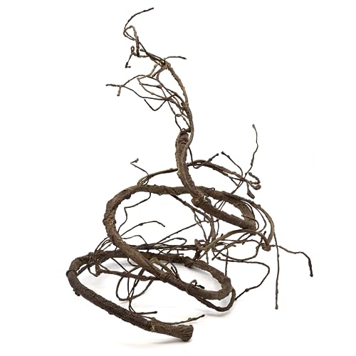 Pangea Reptile Ultimate Vine for Terrarium Habitat (Brown) - color: Brown