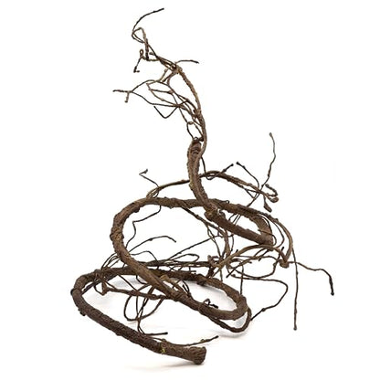Pangea Reptile Ultimate Vine for Terrarium Habitat (Brown) - color: Brown