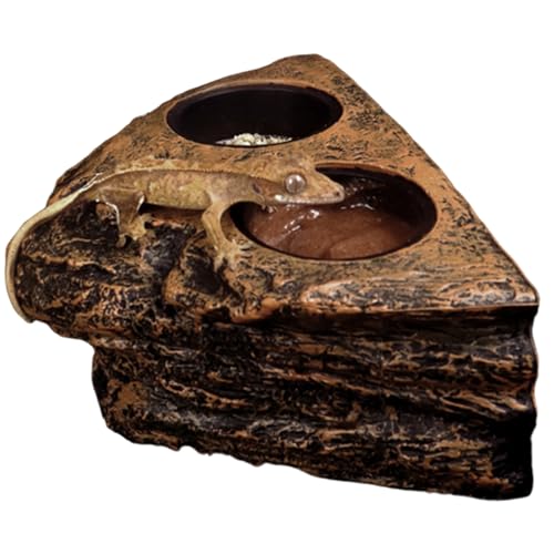 Gecko Feeding Ledge, Magnetic Hanging Reptile Food Dish with 2 Feeding Bowl, for Bearded Dragon Snake Lizard Gecko Ledge, Reptile Food Dish, Crested Tank Accessories, Bearded Dragon F