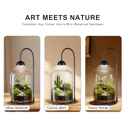 Glass Plant Terrarium with LED Grow Light, Adjustable Ventilation Desktop Indoor Planter for Venus Fly Trap, Moss & Succulents, 8.2" Borosilicate Mini Greenhouse for Home Office Decor