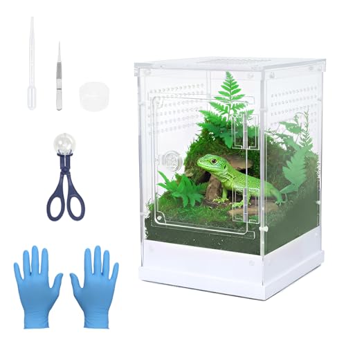 Jumping Spider Enclosure,7.8''x8''x12'' Large Insect Terrarium, Praying Mantis Habitat, Large Insect Terrarium,Reptile Enclosure,Spider Habitat Caterpillar Habitat 7.8''x8''x12''