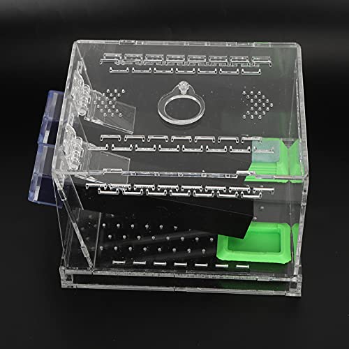 Acrylic Cricket Feed Box with Observation Window for Reptile Terrarium Insect Care Kit, Non-Toxic Material for Easy Cleaning, Tank Box for - size: L
