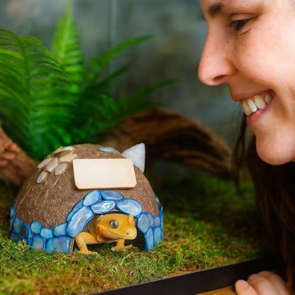 Reptile Hideouts, Handmade Handmade Reptile Home, Hide Cave for Crested Gecko, Leopard Gecko, Lizard, Snake, Crabs Hide Cave, Personalized Terrarium & Vivarium Décor(Conch) - style: Conch