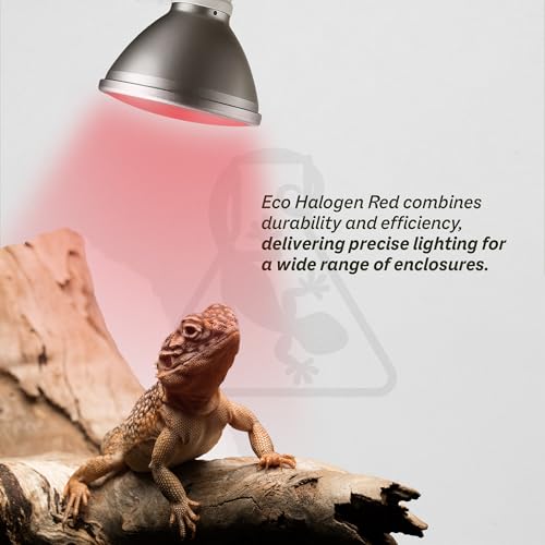 Reptile Systems Eco Halogen – Red 75w – Lamp for Reptiles & Amphibians – Light for Tanks, Vivariums & Crested Geckos - size: 75w