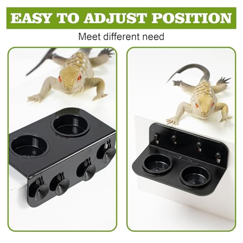 Gecko Feeding Ledge, Double Reptile Water Bowl Food Dish Reptile Feeder with 4PCS Suction Cup for Snake Bearded Dragon Tortoise