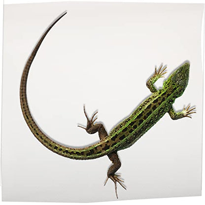 Toyvian Reptile Heating Pad Terrarium Carpet Sphagnum Moss Reptile Bedding Leopard Gecko Tank Accessories