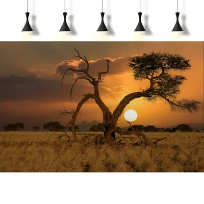 Sunset Desert Reptile Tank Background Beautiful Sunrise Desert Old Tree Terrarium Background Sand Peaks Dunes Sunset Over Desert Reptile Habitat Background Sunset Desert Aquarium Background 24x12in - size: 24(W)x12(H)inches/ 60(W)*30cm(H)