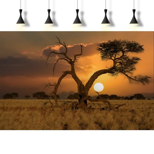 Sunset Desert Reptile Tank Background Beautiful Sunrise Desert Old Tree Terrarium Background Sand Peaks Dunes Sunset Over Desert Reptile Habitat Background Sunset Desert Aquarium Background 30x12in - size: 30(W)x12(H)inches/ 75(W)*30cm(H)