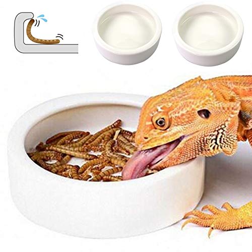 Reptile Food Dish Bowl 2Pcs Lizard Gecko Worm Water Bowls Small (2.75in) | Anti-escape Ceramic Mealworms Bowls for Leopard Bearded Dragon Chameleon Hermit Crab Dubia Cricket Feeding, Superworm Feeder - color: White, size: Small-2Pack