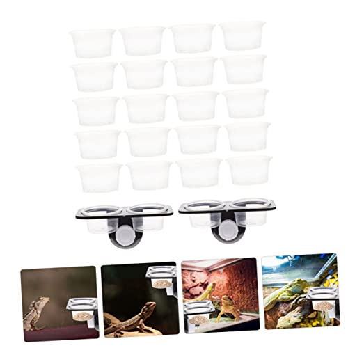 1Set Reptile Feeding Ledge with Suction Cup Reptile Feeder for Gecko Water Bowl Compact Durable Feeding Dish for Terrarium for Crested Gecko Leopard Gecko
