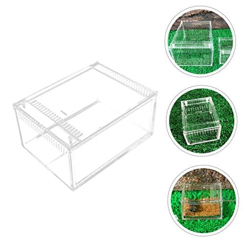 BESPORTBLE 1pc Reptile Breeding Container Habitat for Snakes Lizards and Frogs Spacious Feeding Box Ventilation for Healthy Growth